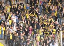 Faninfos zum Heimspiel gegen Dortmund II