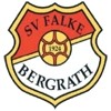 Vereinswappen Falke Bergrath II